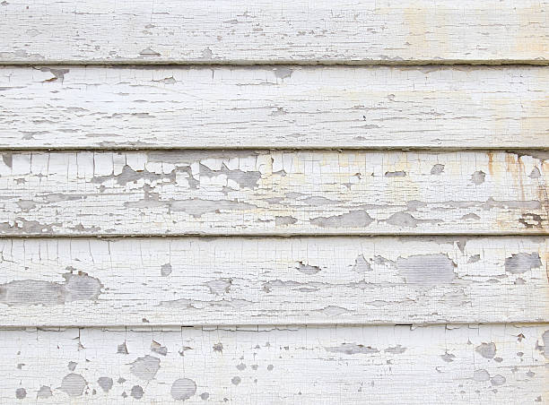 Best Siding for New Construction  in Greenfield, MN